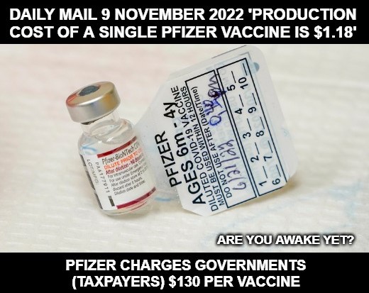production-cost-of-a-pfizer-vaccine-is-1.18.jpg
